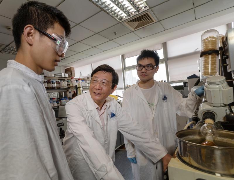 首席运营官赵婉清